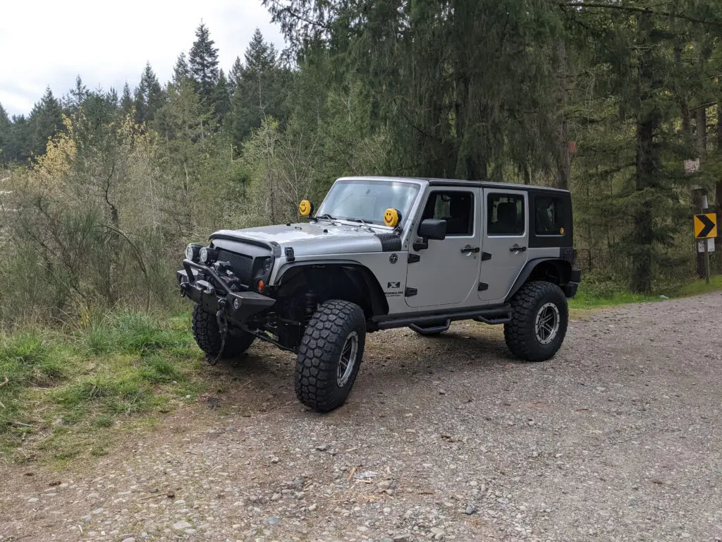 jeep wrangler in a forest